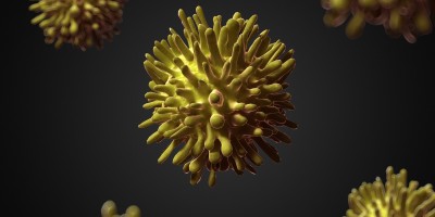 Hepatitis C Virus Image